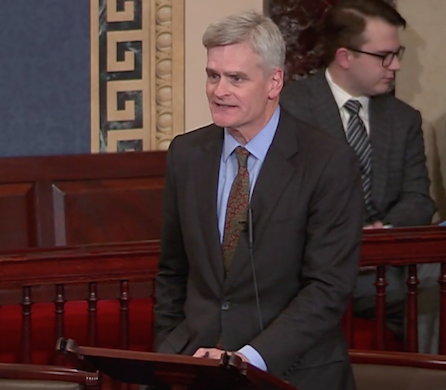 Cassidy Veterans Day 2015 Floor Speech